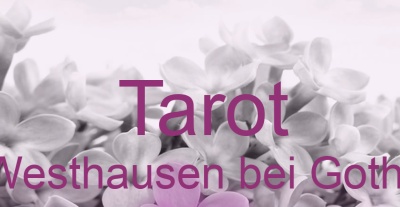 Tarot Westhausen bei Gotha | Top-Experten für Kartenlegen, Wahrsagen, Hellsehen, Zukunftsdeutung. Tarot Westhausen bei Gotha | Top-Experten für Kartenlegen, Wahrsagen, Hellsehen, Zukunftsdeutung.